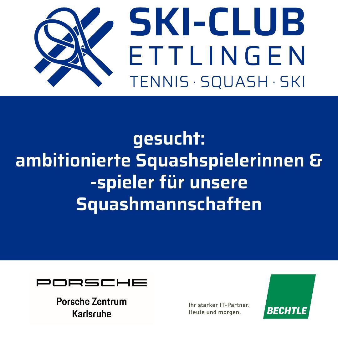 Mehr über den Artikel erfahren Planungen für die Squashsaison 24/25 laufen